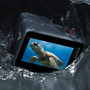 GoPro Hero 7 Underwater Camera Review - Underwater