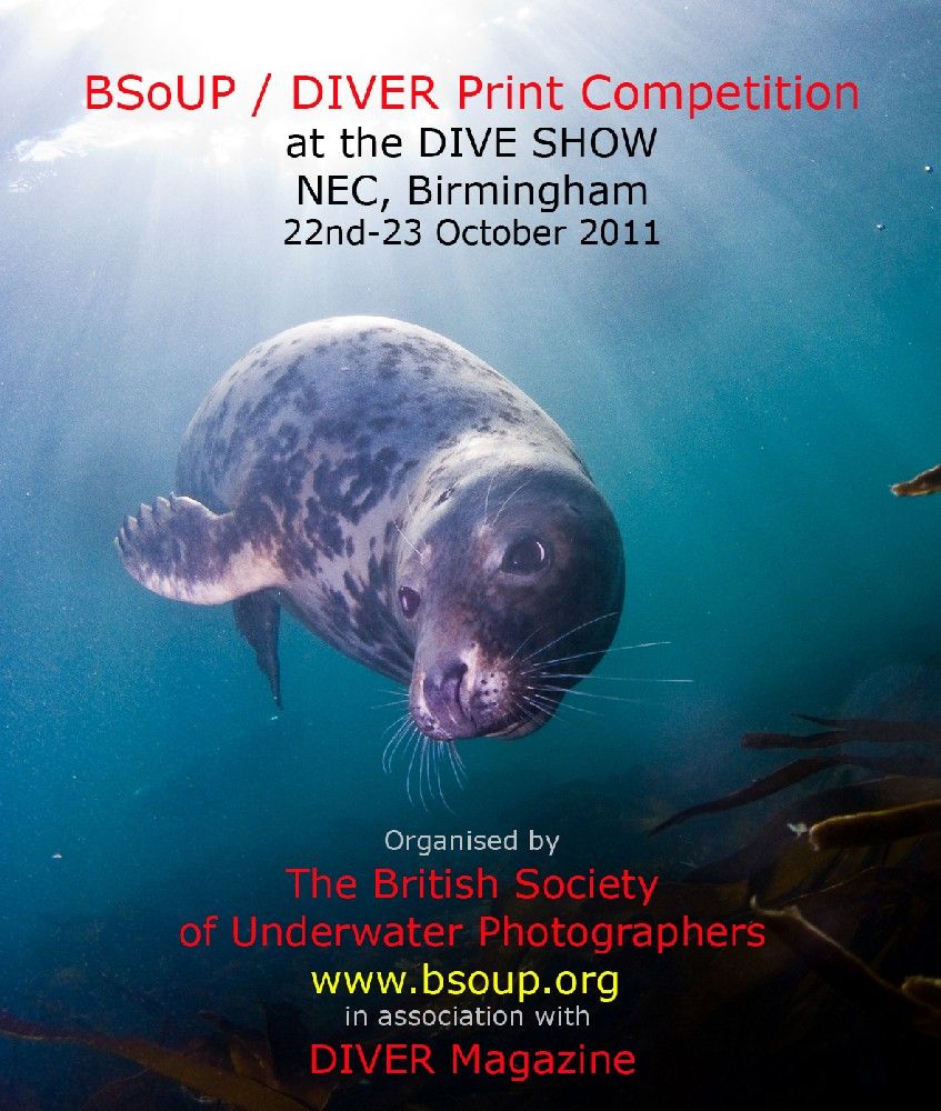 BSoUP/ DIVER Annual Print Competition