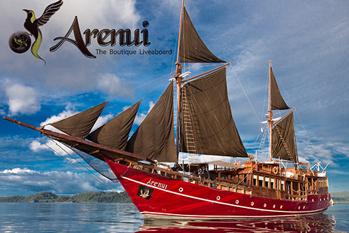 Arenui liveboard boat to Raja Ampat features photo pro Rod Klein