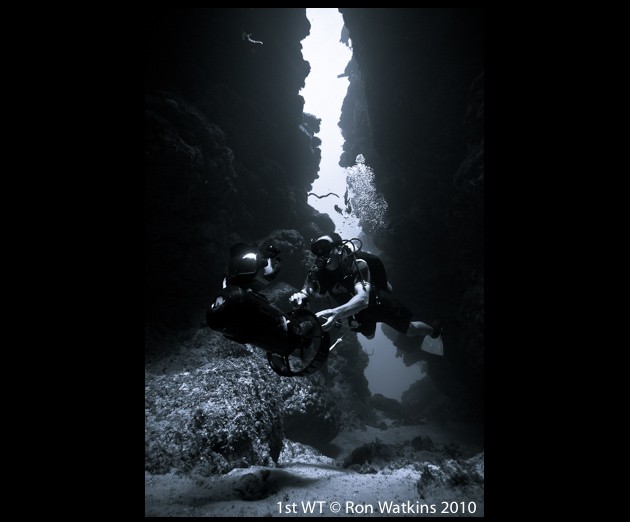 little cayman digital shootout underwater photography contest