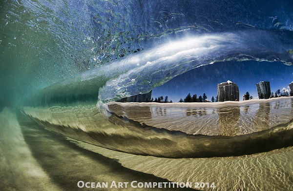 ocean art photo competition best of show