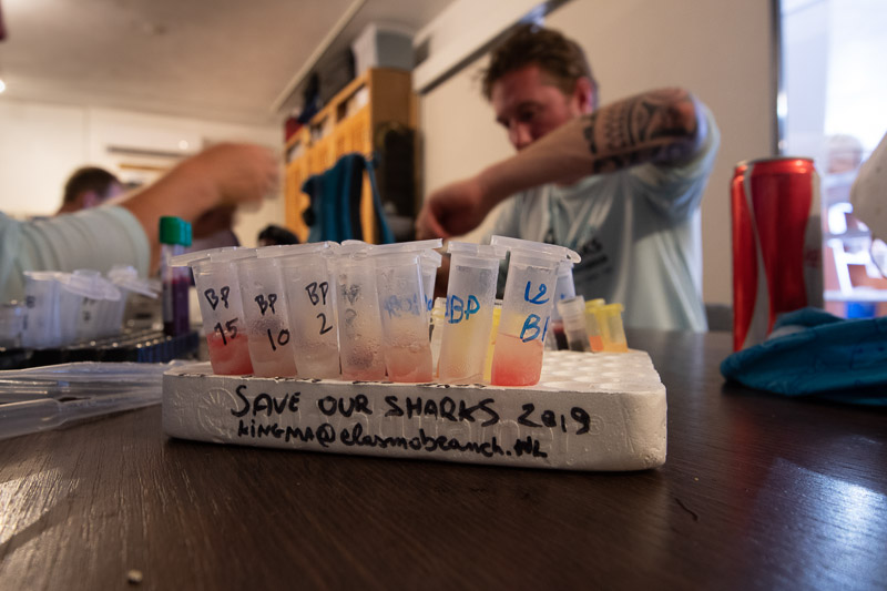 ESA Bilogists with blood samples from sharks