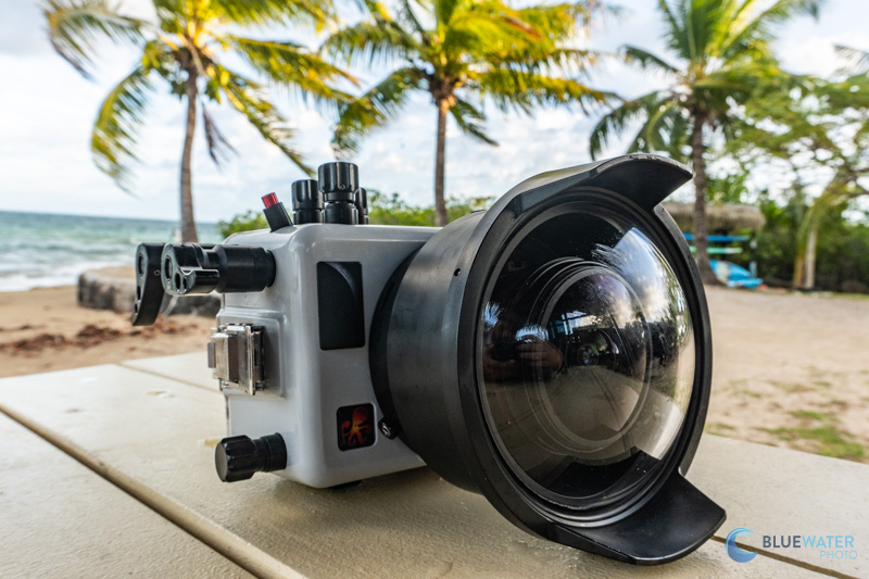 The Ikelite Sony A7C II and A7C R Housing in the Field