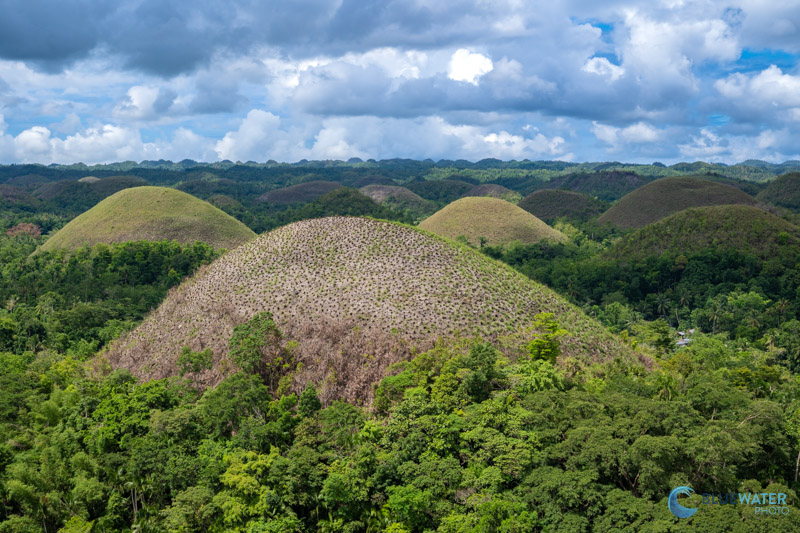 The Chocolate Hills of Bohol on a Tour with Magic Oceans Dive Resort