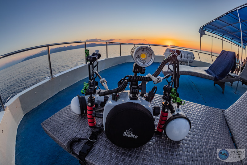 The Canon RF 14-35mm in the field in the Sea of Cortez