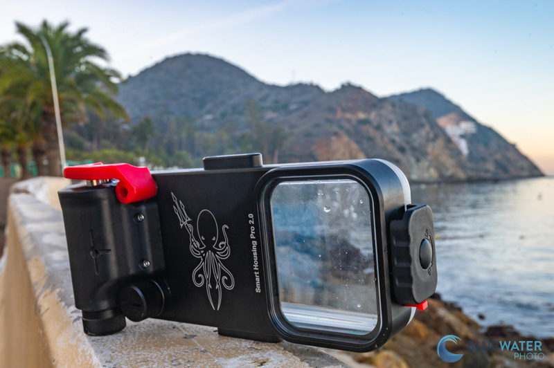 The Kraken Universal Smartphone Housing While Diving in Catalina