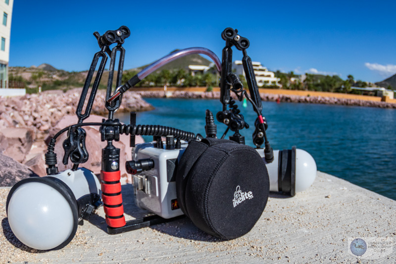 The ultimate Ikelite Canon R10 system in the field - with dual DS 230 strobes and an Ikelite TTL converter. 