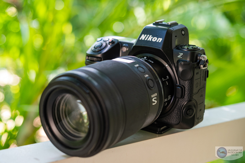 The Nikon Z8 Full-Frame Mirrorless Camera After Two Weeks of Diving