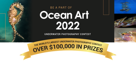 Ocean Art Underwater Photography Competition