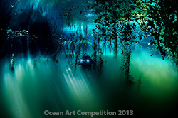 2013 Ocean Art Contest Winners - Underwater Photography Guide