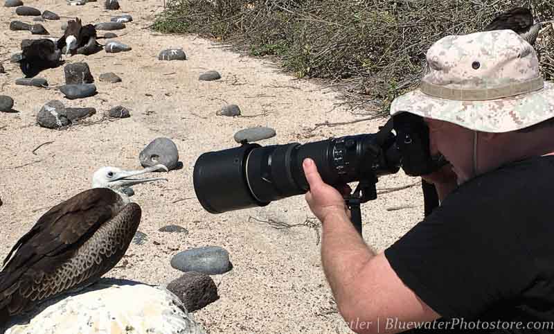 A photographer uses a huge lens to capture closeups of a bird in the Galapagos.