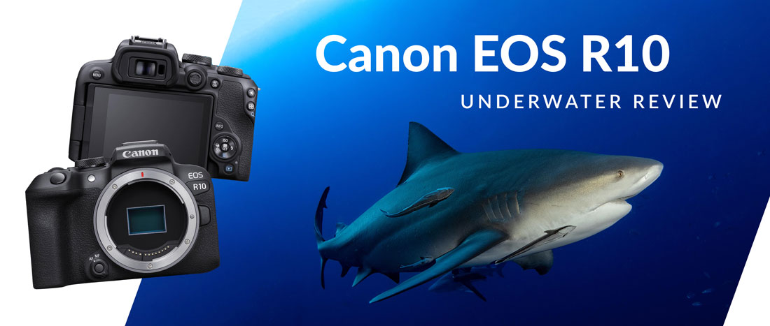 Interchangeable Lens Cameras - EOS R100 (Body) - Canon South & Southeast  Asia