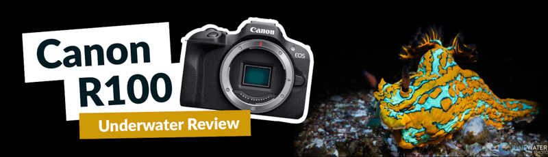 Canon R100 Review - Underwater Photography Guide