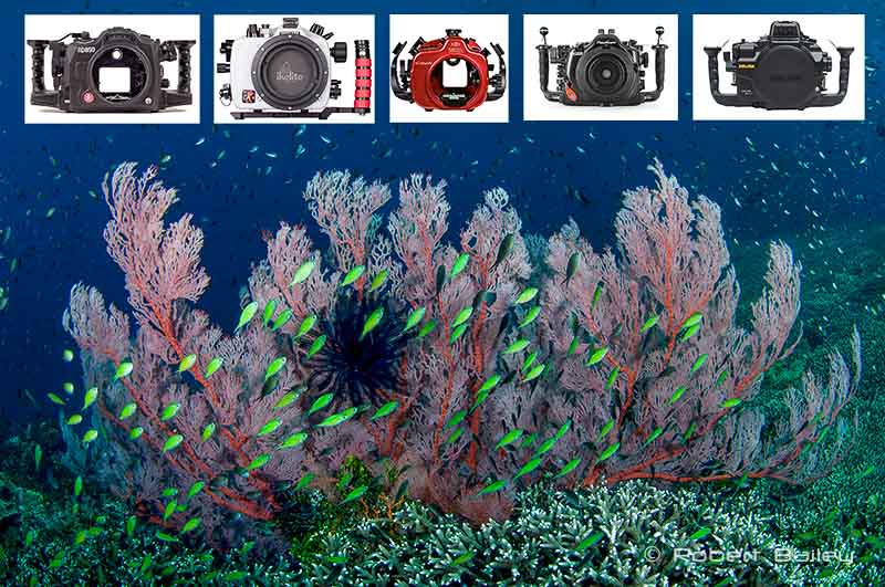 Nauticam NA-A6700 Underwater Housing for Sony A6700 Camera – Reef Photo &  Video
