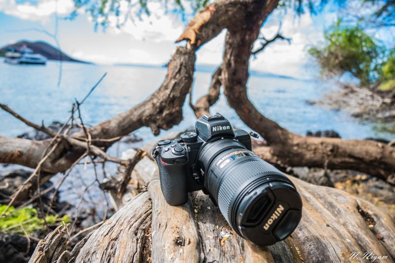 Nikon Z50 Review - Underwater Photography Guide