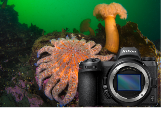 Explore the Revolutionary Features of the Nikon Z9 Camera