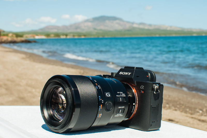The Sony FX3 Underwater Review & Housings - Underwater Photography Guide