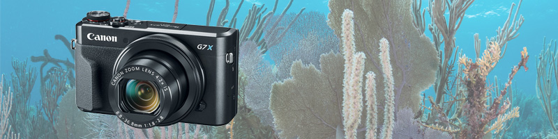 Canon G7x Mark Ii Camera Review Underwater Photography Guide