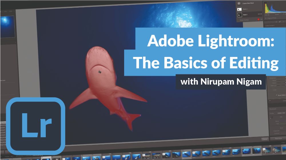 The Basics of Editing Underwater Photos in Adobe Lightroom