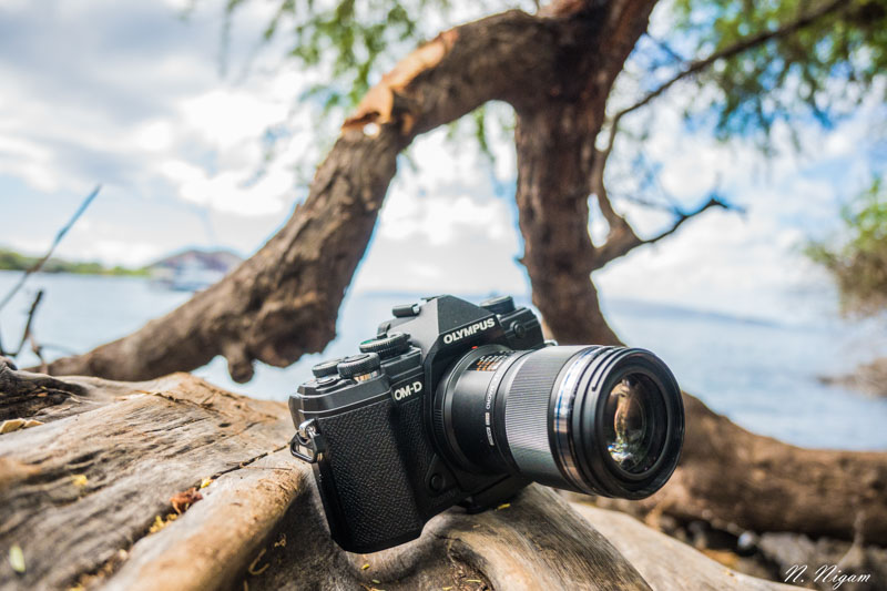 OM SYSTEM OM-5 Released - A Versatile Micro Four Thirds Mirrorless Camera