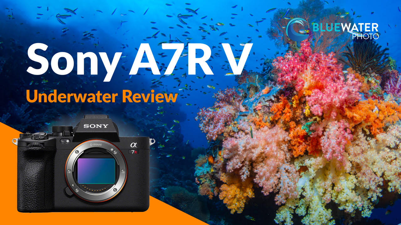 Sony A7R V Review - Underwater Photography Guide