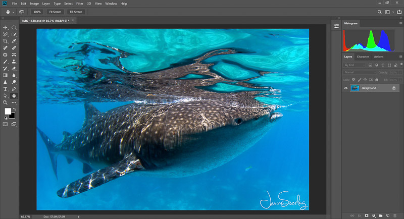 how to batch watermark photos in photoshop cc2017