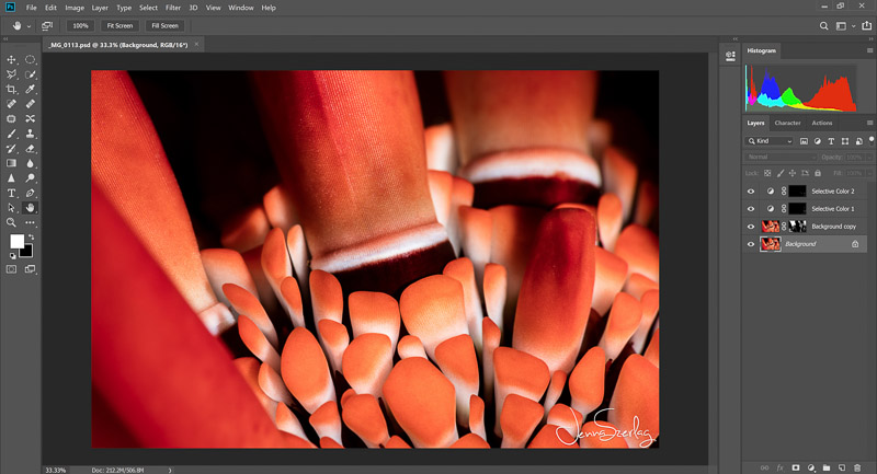 use photoshop cc and lightroom for free on mac russian fashion photographer