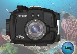 Nikon D500 Review with Sea & Sea MDX-D500 Housing - Underwater