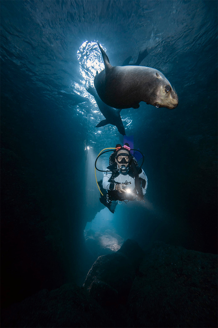 Diving in the Cenotes with the Marelux Z9 underwater housing