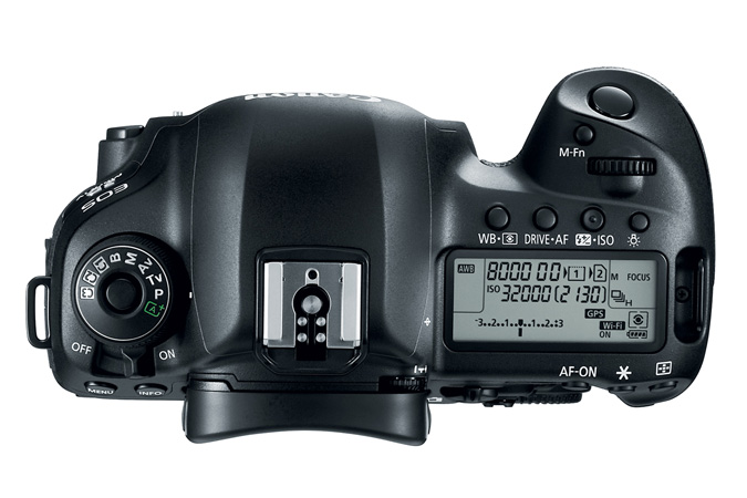 Productie Bevestigen aan Opschudding Canon 5D Mark IV Review - Underwater Photography Guide